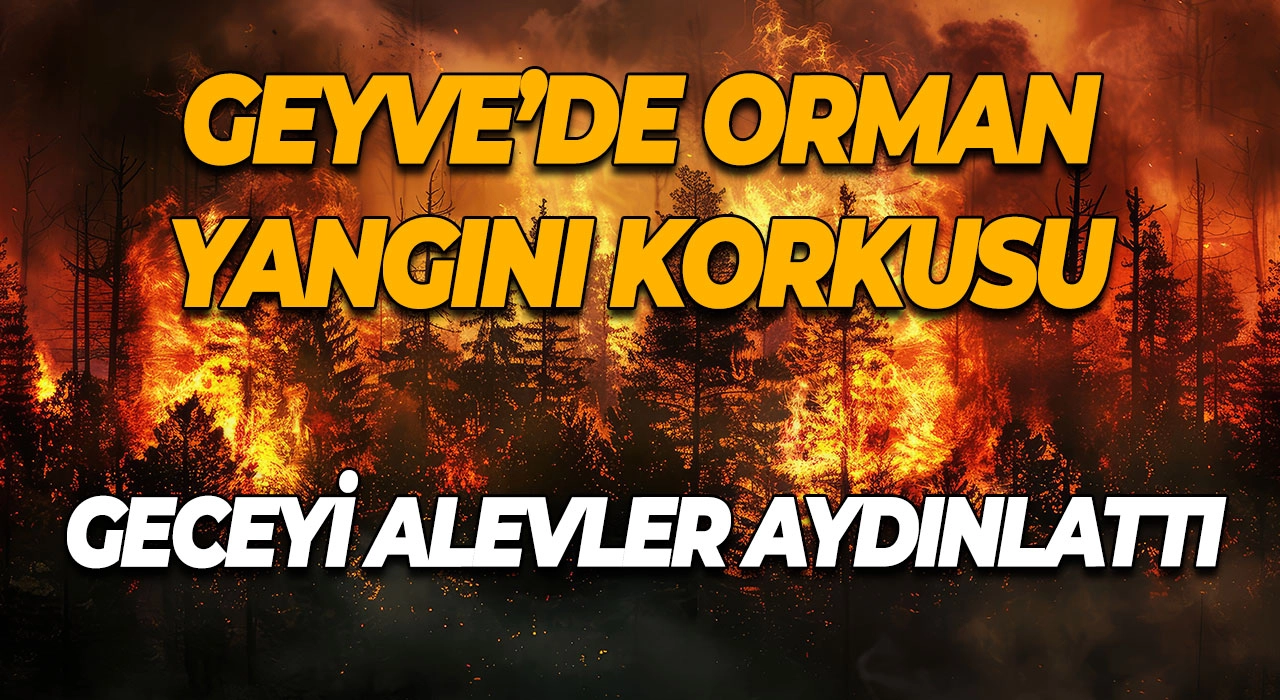 Geyve’de Orman Yangını Korkusu Geceyi Alevler Aydınlattı