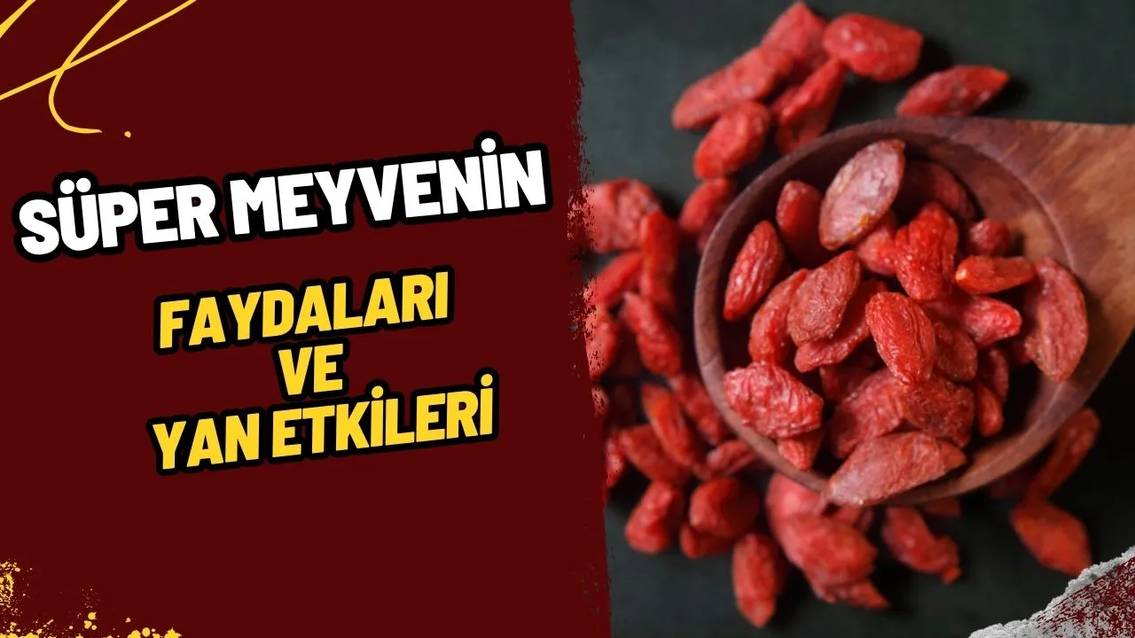 Aile ve Sosyal Hizmetler Bakanlığı'ndan 360 Sürekli İşçi Alımı: İşte Tüm Detaylar!
