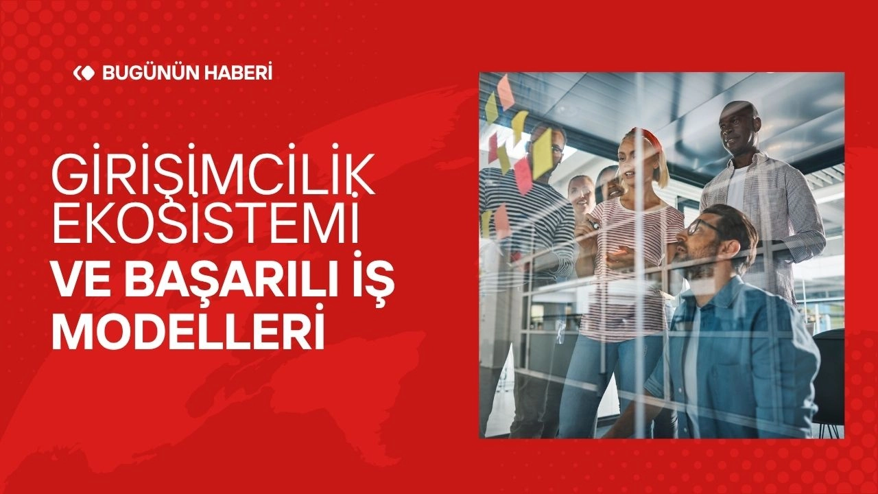 Girişimcilik Ekosistemi ve Başarılı İş Modelleri