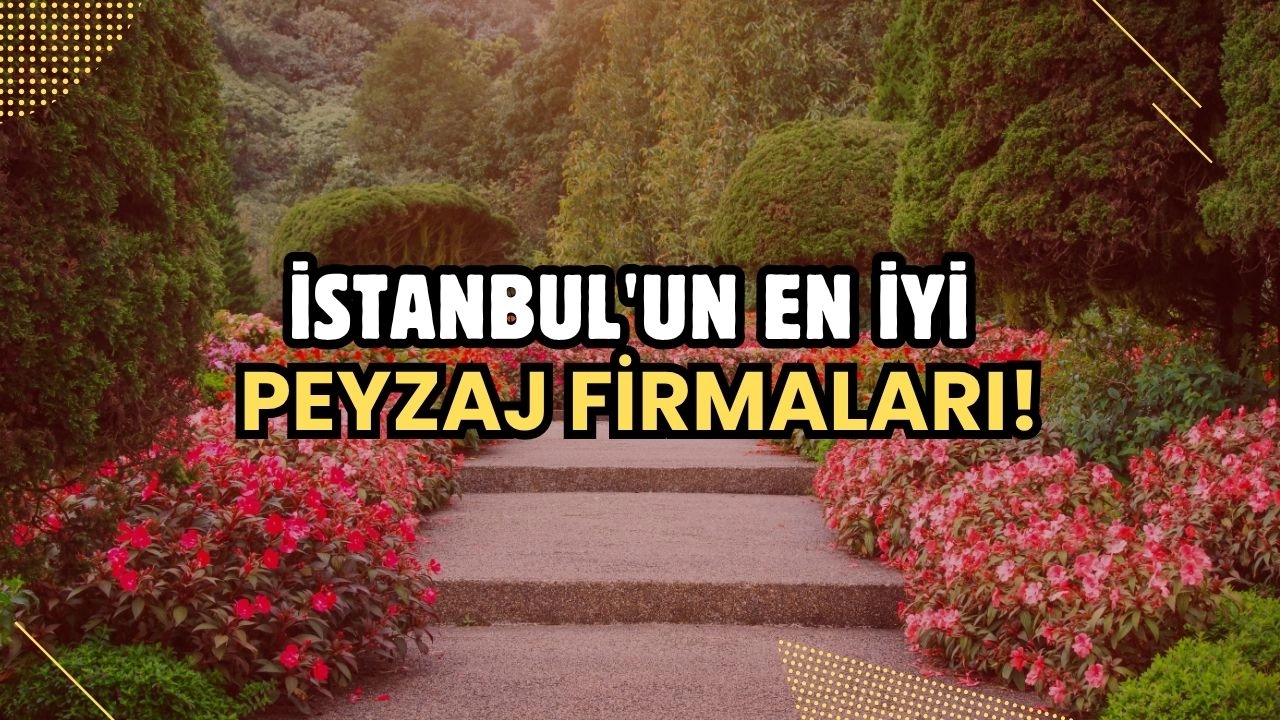 İstanbul'un En İyi Peyzaj Firmaları! Bahçenizi Profesyonellere Emanet Edin!