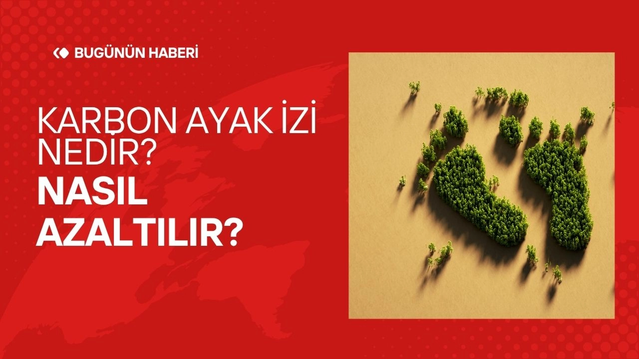 Karbon Ayak İzi Nedir? Nasıl Azaltılır?