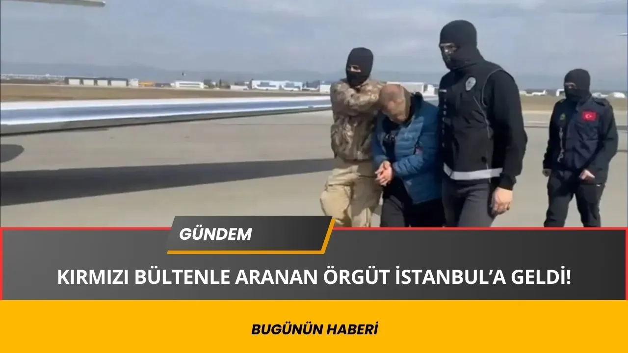 Kırmızı Bültenle Aranıyorlardı! İstanbul'a Getirildiler!