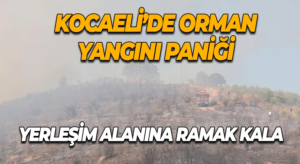 Kocaeli'de Kamp Yapılacak Güvenilir Yerler