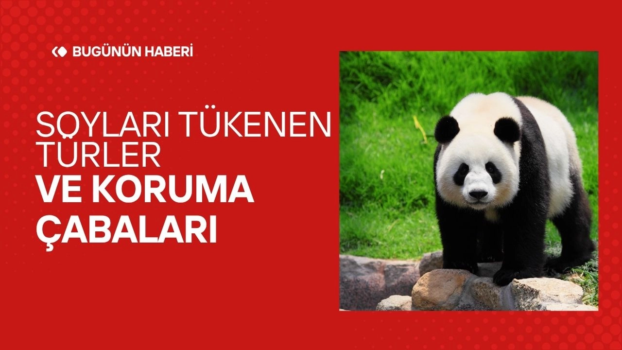 Soyları Tükenen Türler ve Koruma Çabaları 