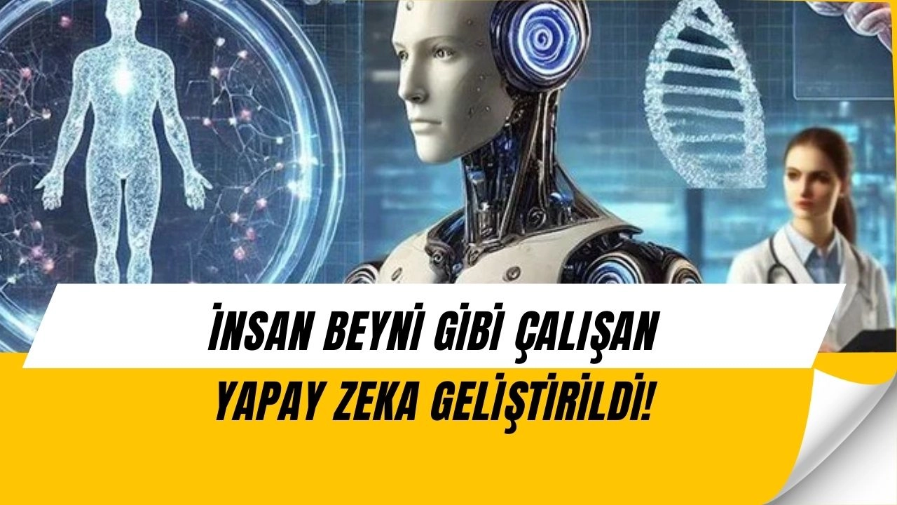 ChatGPT’yi Solladı! İnsan Beynini Taklit Eden Yapay Zeka Şaşırtıcı Sonuçlar Verdi