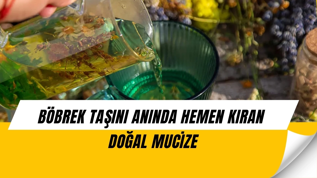 Böbrek Taşını Bir Anda Yok Ediyor! İçenler Etkisini Görünce İnanamıyor