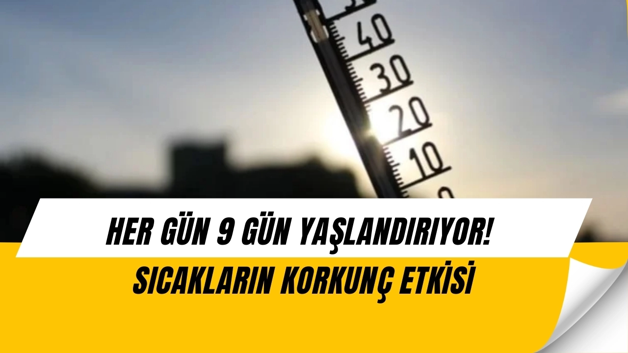 Biliyoruz Bu HABERİ ÇOK GEÇ VERDİK! Ama Her Gün Ömrünüzden 9 Gün Gidiyor!