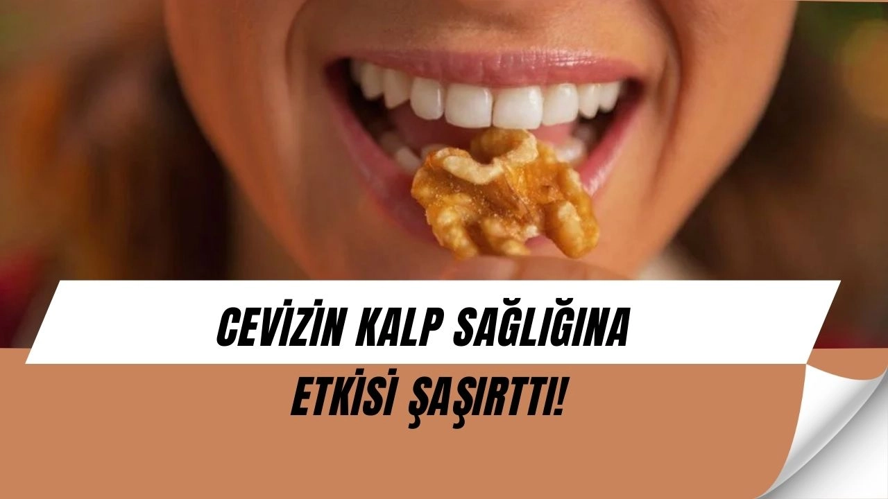 Cevizin Şaşırtıcı Etkisi: Kalp Dostu, Kolesterol Düşmanı!