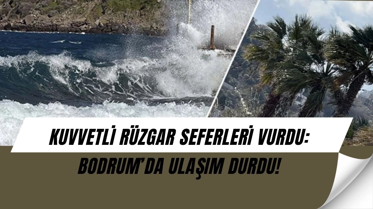 Bodrum’da Fırtına Alarmı! Feribot Seferleri Son Anda İptal Edildi