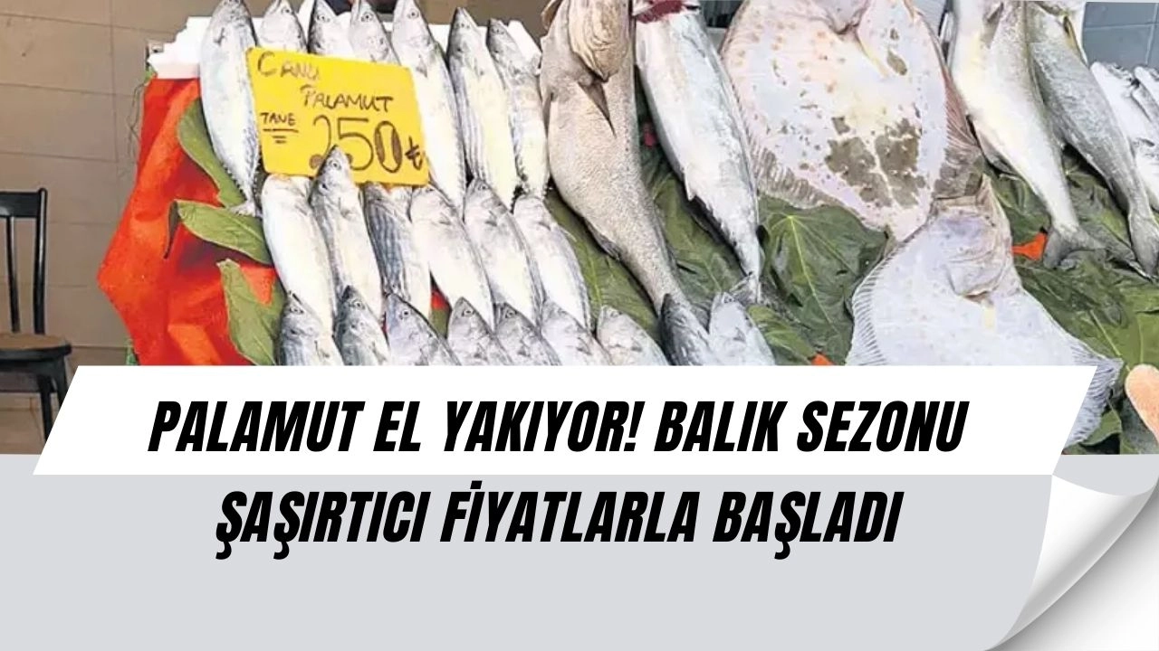 Balık Sezonu Şok Başladı: Palamutun Fiyatını Duyan Tezgâha Yaklaşamadı!