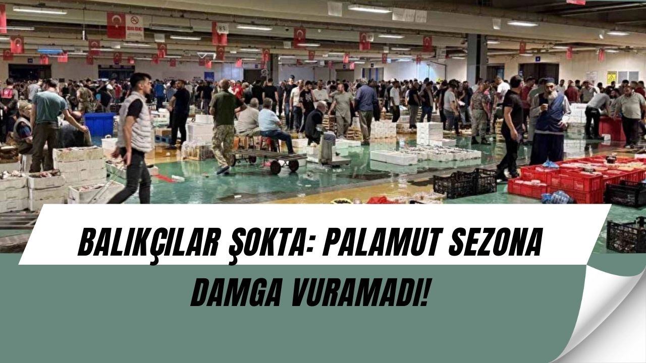 İstanbul’da Balık Sezonu Başladı: Palamut Neden Az Çıkıyor?
