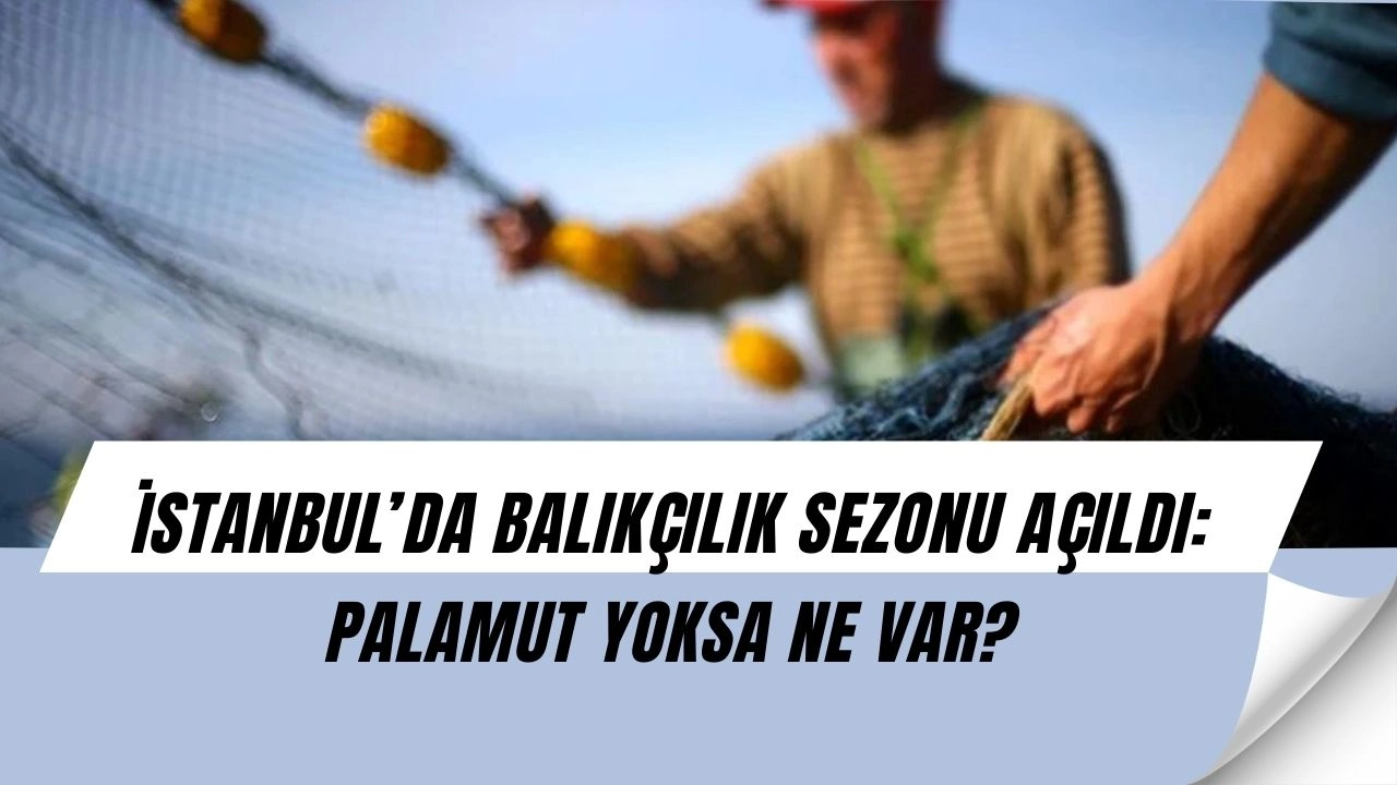 Balık sezonu patladı! Palamut bekleyenlere kötü haber geldi