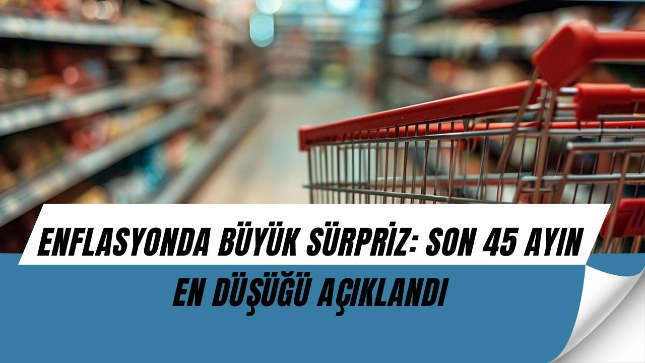 Ağustos Enflasyonu Açıklandı: Son 45 Ayın En Düşük Seviyesi Herkesi Şaşırttı!