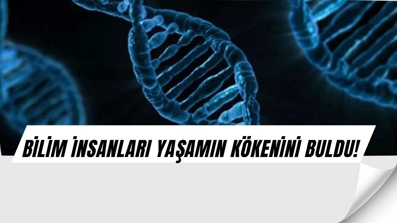 Bilim İnsanları Yaşamın Sırrını Çözdü: RNA ve Amino Asitlerden Gelen Şok Keşif