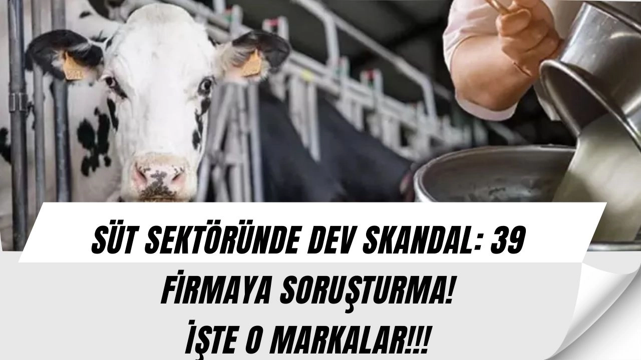 Süt sektöründe büyük skandal! 39 firmaya dev soruşturma (İŞTE O LİSTEYİ SIZDIRDIK)