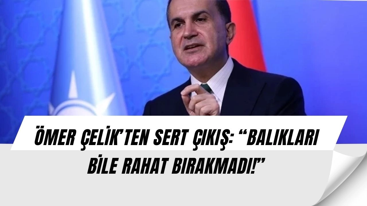 Ömer Çelik’ten Özgür Özel’e sert çıkış: “Balıkları bile hedef aldı!”