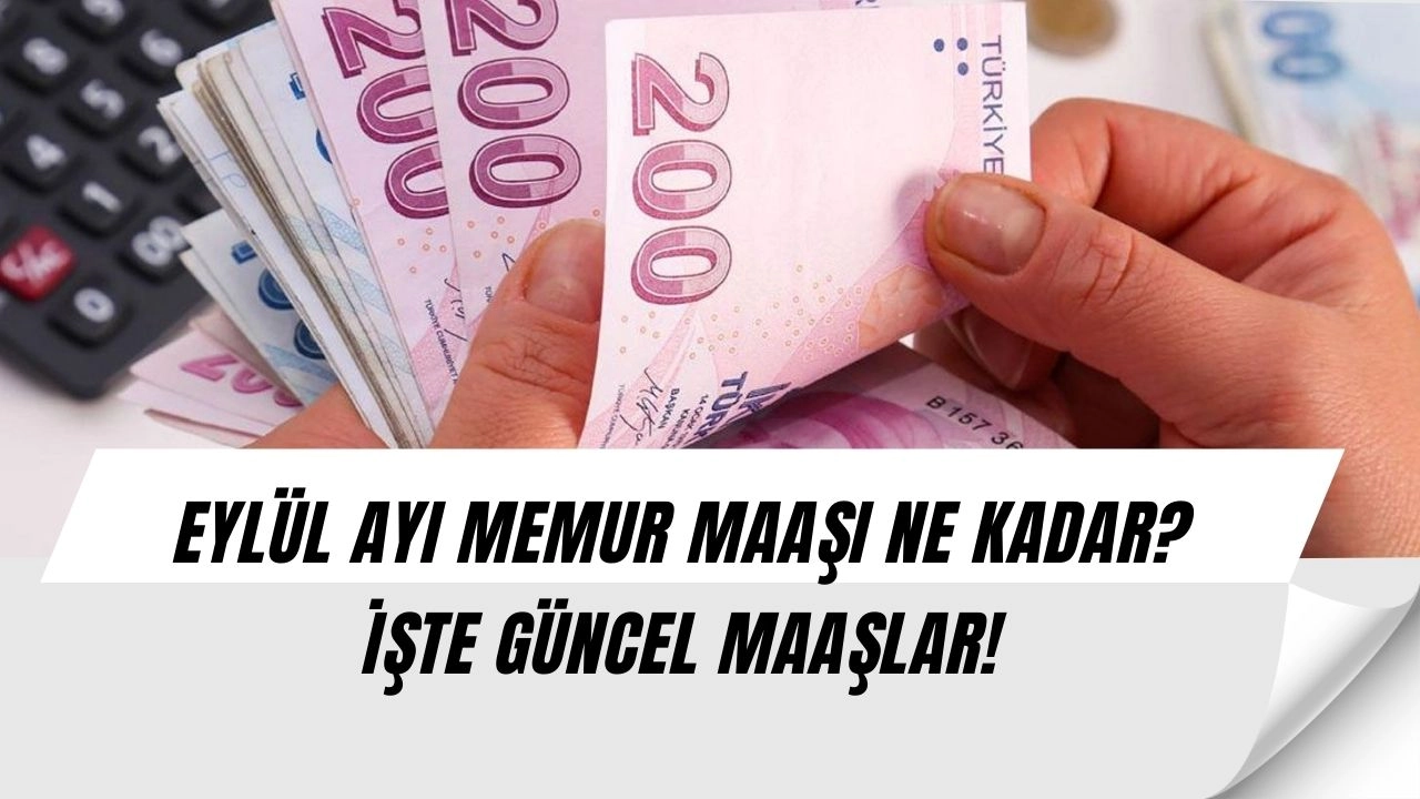 Eylül Ayı Memur Maaşları Nedir? Güncel Memur Maaşları 2025 Eylül 