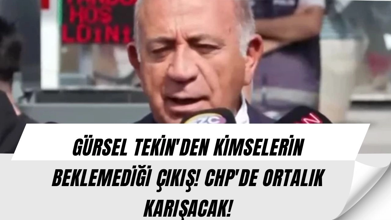 Gürsel Tekin'den Gündemi Sarsan Açıklamalar! "Büyük Bir Suç Ortaklığını Bozuyoruz!"
