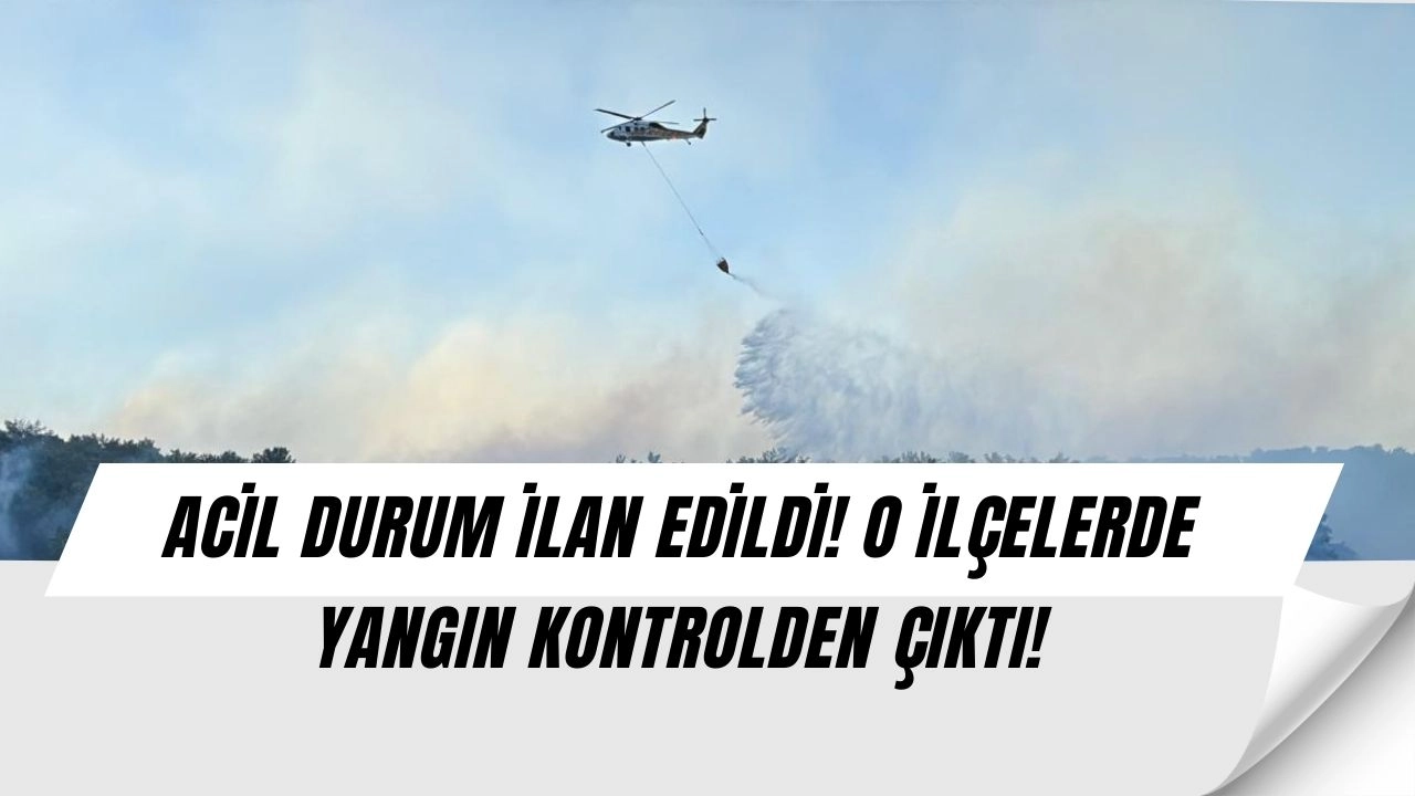 Türkiye'nin Ciğerleri Yanıyor! O İllerde Korkunç Yangınlar Başladı, Rüzgar Kontrolü İmkansız Kıldı