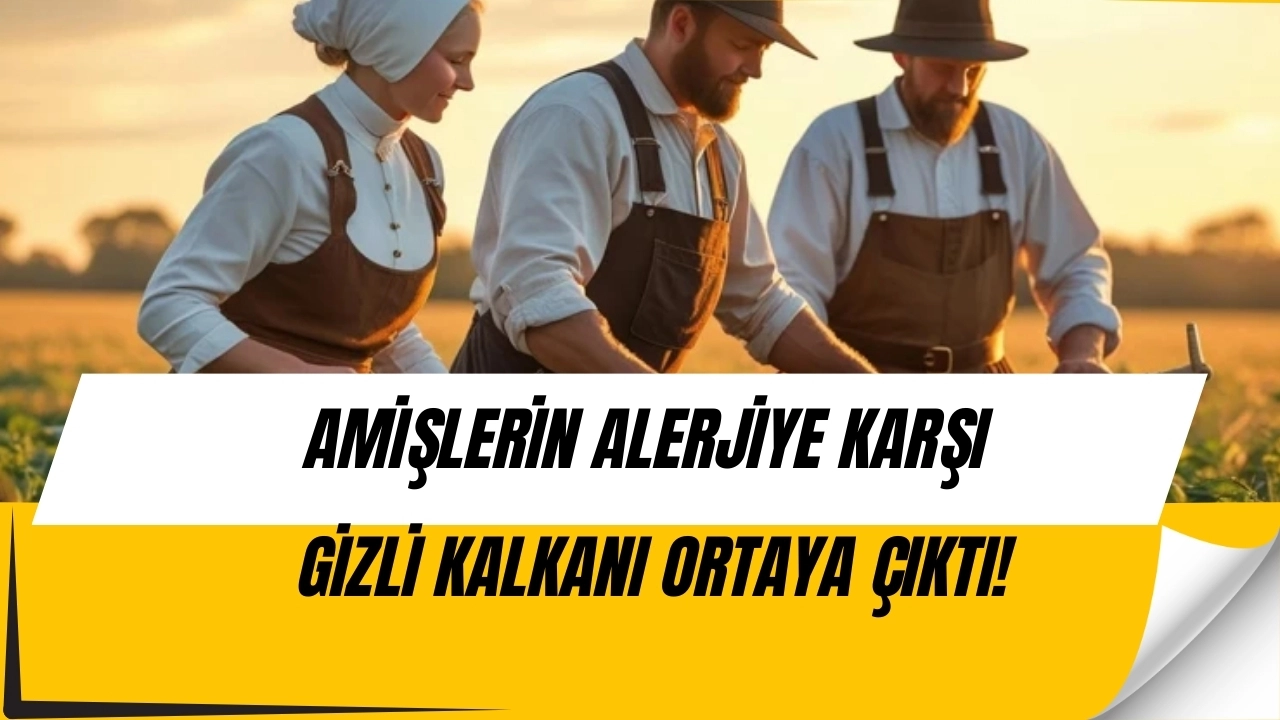 Amişlerin Şaşırtan Sırrı: Modern Dünyada Herkes Alerjik Onlar Neden Değil?