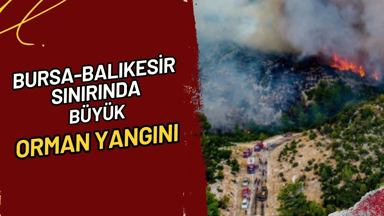 Bursa-Balıkesir Sınırında Büyük Orman Yangını! Bir Mahalle Tahliye Edildi!