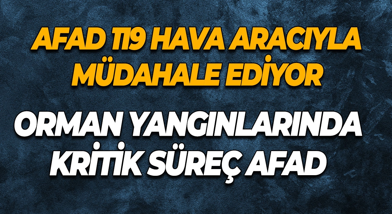 Orman Yangınlarında Kritik Süreç AFAD 119 Hava Aracıyla Müdahale Ediyor