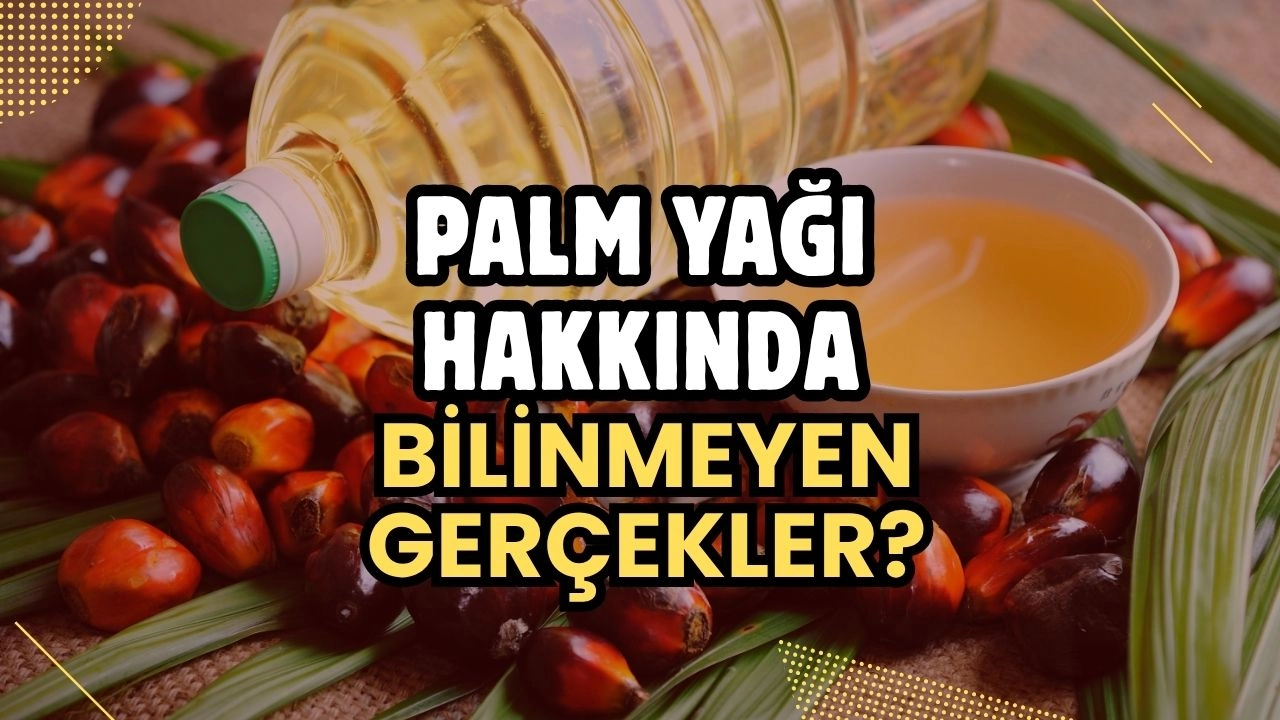 Palm Yağı Hakkında Bilmeniz Gereken 10 Bilimsel Gerçek! Tartışmalı Yağın Bilinmeyen Faydaları!