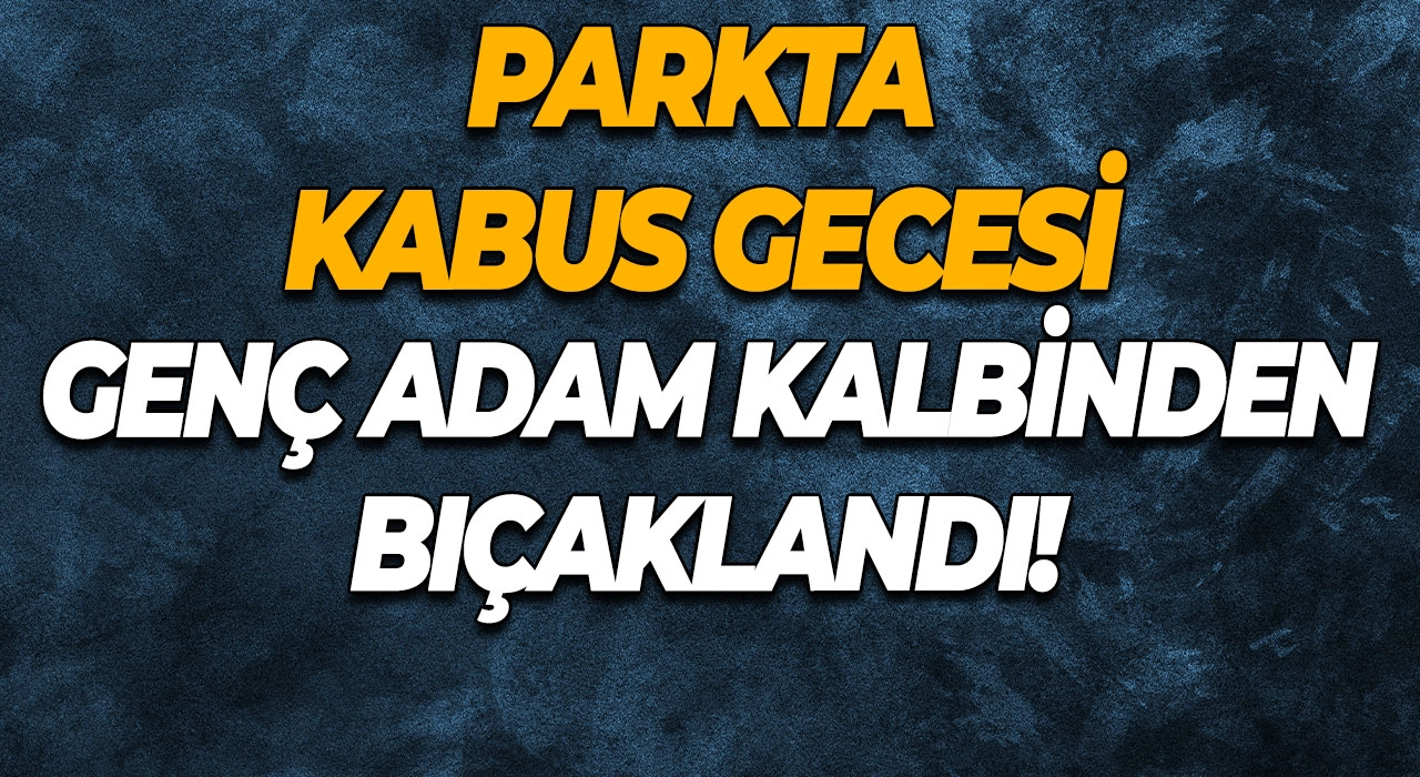Parkta Kabus Gecesi Genç Adam Kalbinden Bıçaklandı!