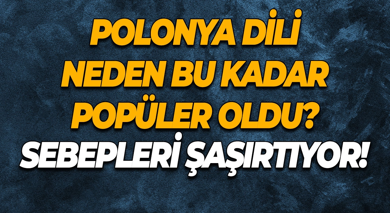 Polonya Dili Neden Bu Kadar Popüler Oldu? Sebepleri Şaşırtıyor!