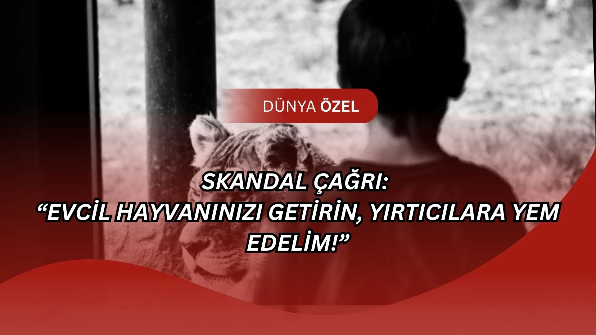 Skandal Çağrı: “Evcil Hayvanınızı Getirin, Yırtıcılara Yem Edelim!”