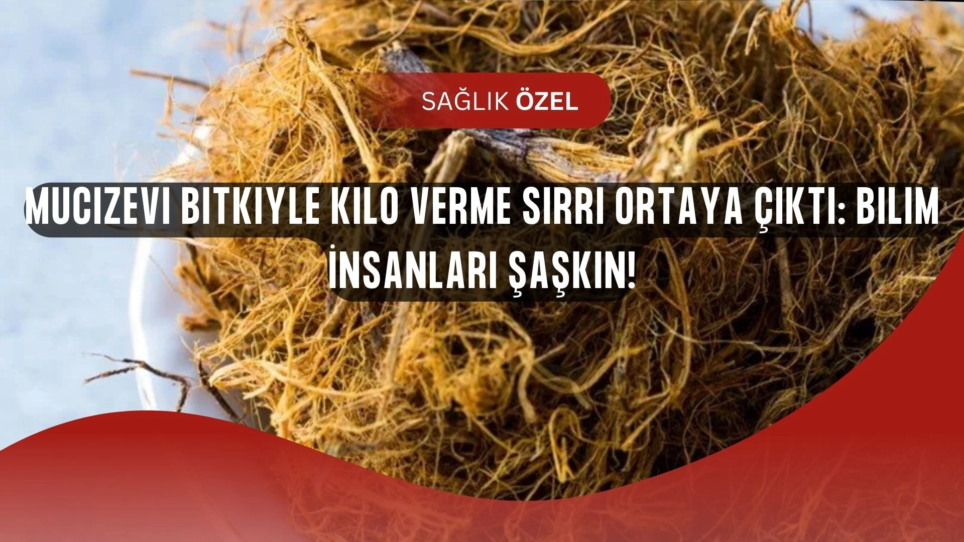 Mucizevi Bitkiyle Kilo Verme Sırrı Ortaya Çıktı: Bilim İnsanları Şaşkın!