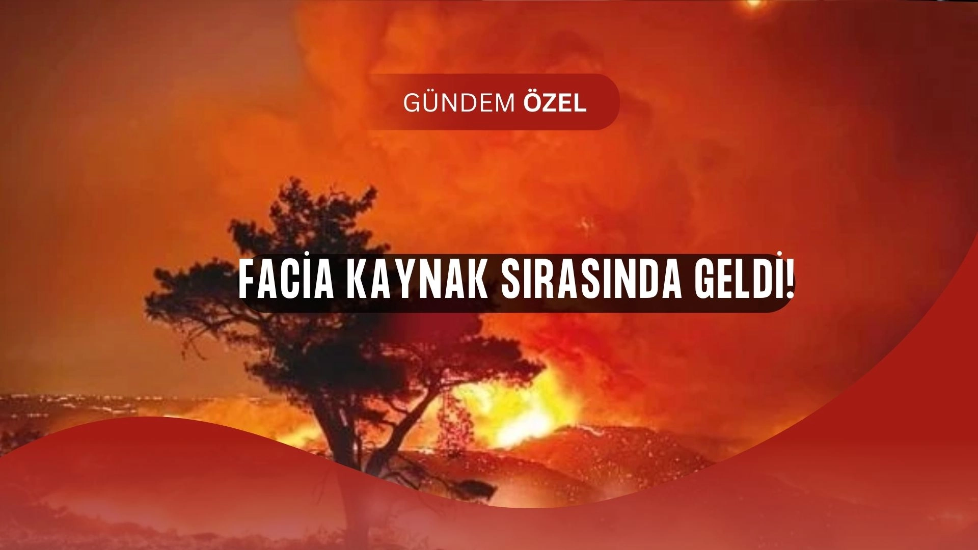 Mersin’de Orman Faciası: Kaynak Çalışması 15 Bin Dönümü Kül Etti, 4 Kişi Tutuklandı!