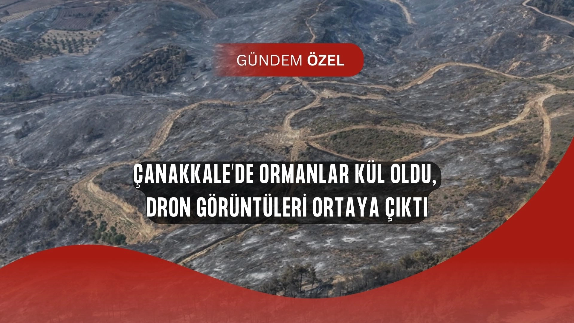SON DAKİKA! Çanakkale’de Felaket! Ormanlar Kül Oldu, Dron Görüntüleri Yürek Dağladı