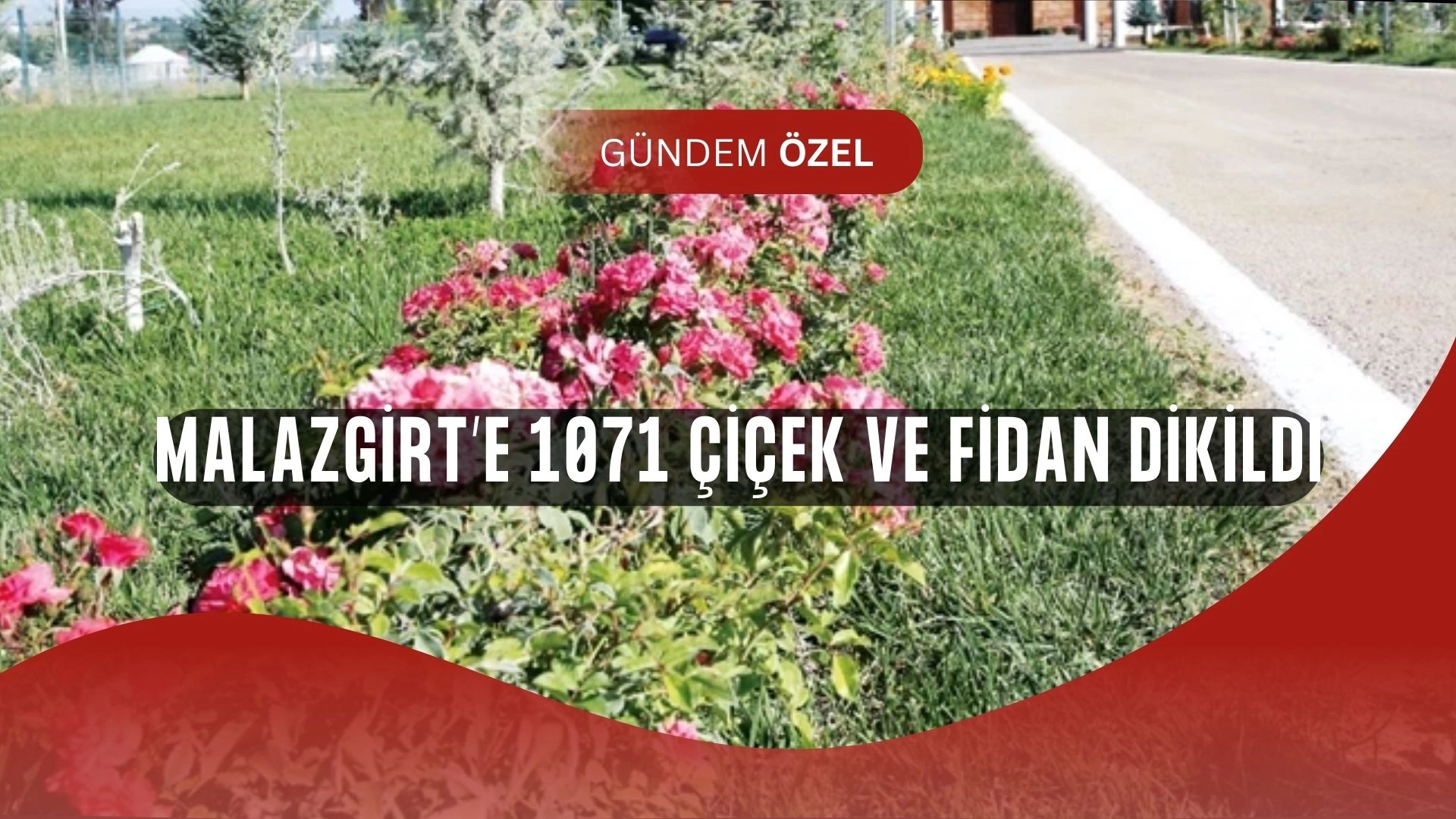 Malazgirt Zaferi’nin 954. yılında tarihi sürpriz: 1071 çiçek ve fidan dikildi!