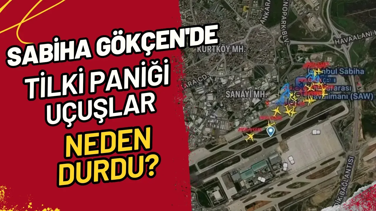 Sabiha Gökçen'de Tilki Paniği Uçuşlar Neden Durdu?