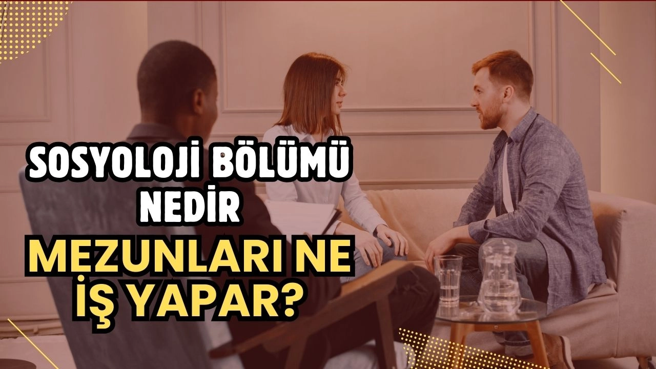 Sosyoloji Mezunları Ne İş Yapar? İş İmkanları ve Kariyer Yolları Rehberi 2025!