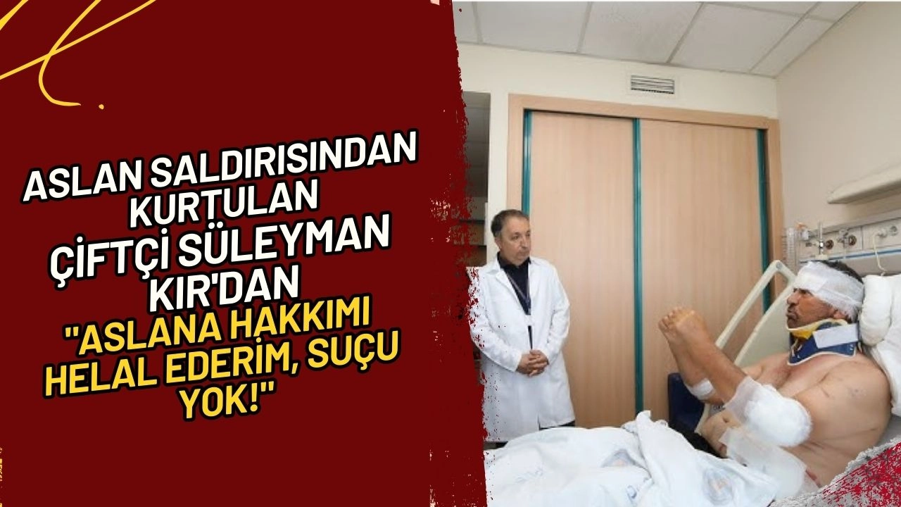 Aslan Saldırısından Kurtulan Çiftçi Süleyman Kır'dan Şaşırtan Açıklama! "Aslana Hakkımı Helal Ederim, Suçu Yok!"
