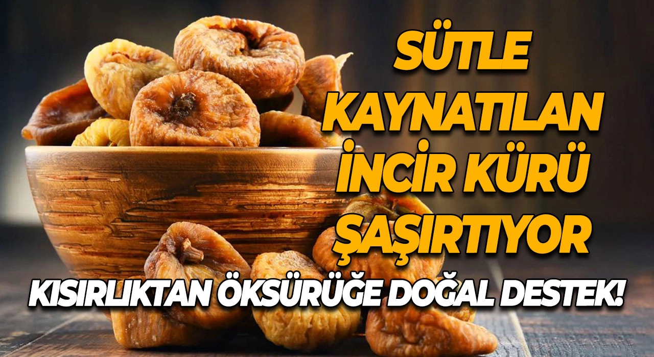 Sütle Kaynatılan İncir Kürü Şaşırtıyor Kısırlıktan Öksürüğe Doğal Destek!