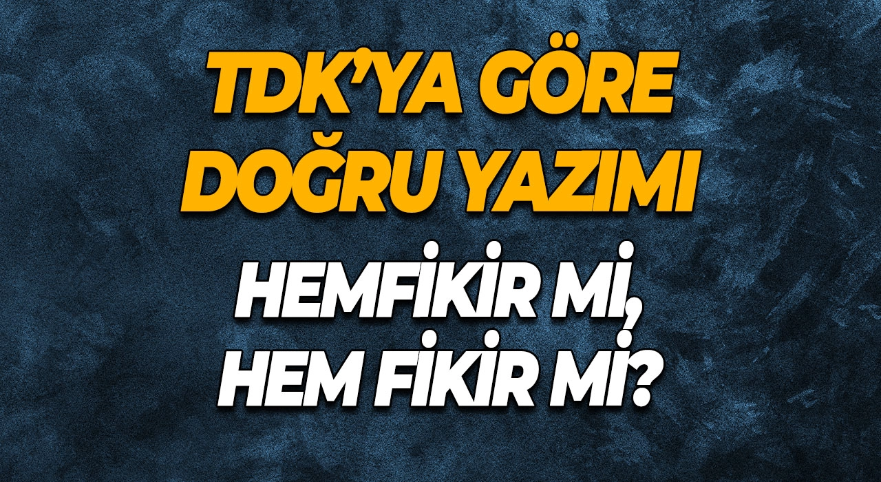TDK’ya Göre Doğru Yazımı Hemfikir mi, Hem Fikir mi?