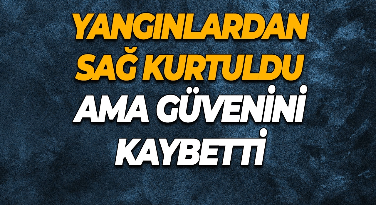 Yangınlardan Sağ Kurtuldu Ama Güvenini Kaybetti