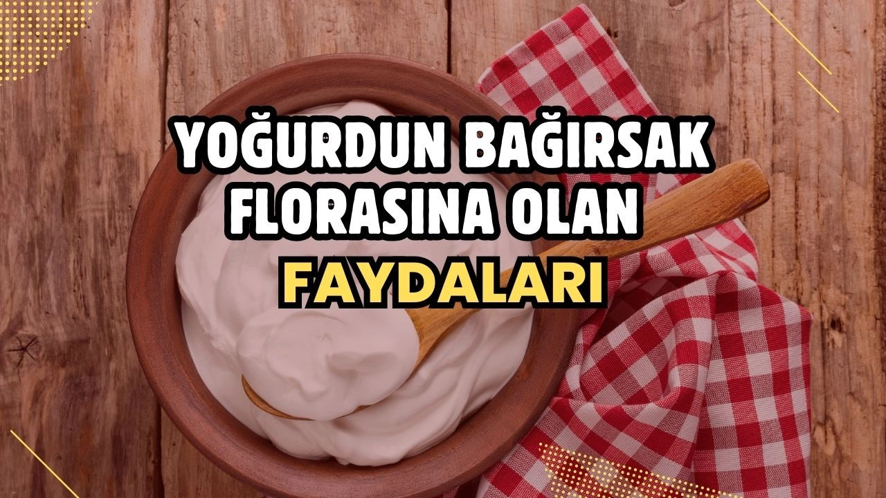 Yoğurdun Bağırsak Florasına Olan Faydaları