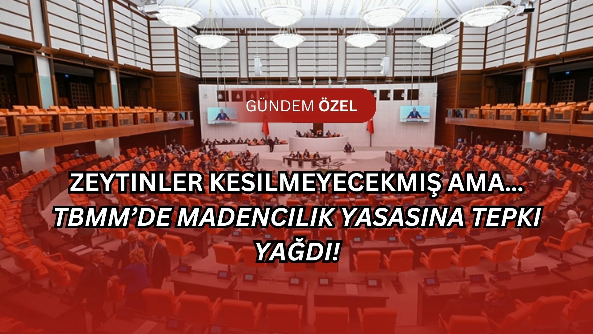 Zeytinler Kesilmeyecekmiş Ama… TBMM’de Madencilik Yasasına Tepki Yağdı!